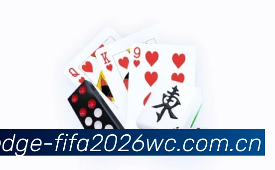 FIFA官方数据授权证书